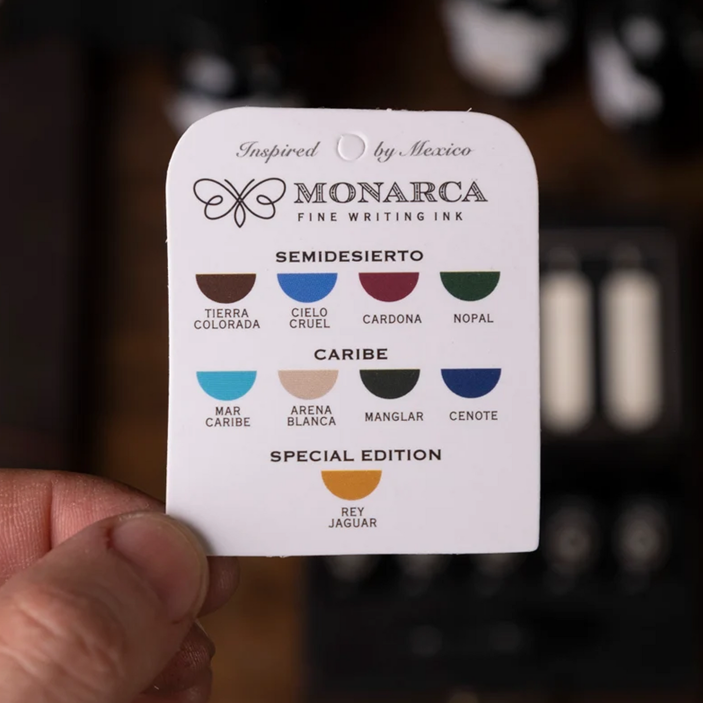 10 Ink Sample Case