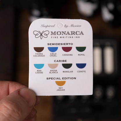 10 Ink Sample Case